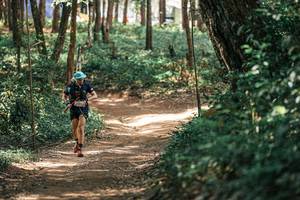 BIB: 
                            <button type="button" onclick="openModal(25336109)" class="btn btn-primary btn-sm float-right btn-popup" data-toggle="modal" data-target=".modal-high-quality">
                        <i class="fas fa-shopping-cart"></i> Add to Cart
                    </button>
                                            <button type="button" onclick="isThisMe(25336109, true)" class="btn btn-success btn-sm float-right btn-popup btn-isme hidden" data-toggle="tooltip" data-placement="bottom" title="นี่คือรูปของคุณใช่ไหม คลิกที่นี่เพื่อเอาเข้าอัลบั้ม">
                        <i class="fas fa-plus"></i> Add to album
                    </button>
                    <button type="button" onclick="isThisMe(25336109, false)" class="btn btn-warning btn-sm float-right btn-popup btn-isnotme hidden">
                        <i class="fas fa-ban"></i> Remove from album
                    </button>